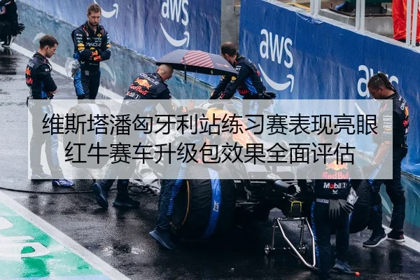 维斯塔潘匈牙利站练习赛表现亮眼 红牛赛车升级包效果全面评估