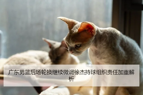 广东男篮后场轮换继续微调徐杰持球组织责任加重解析